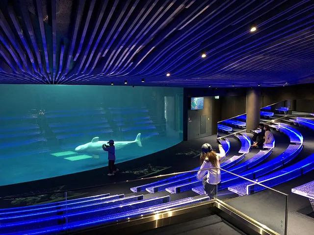 しまね海洋館アクアスのシロイルカの水槽