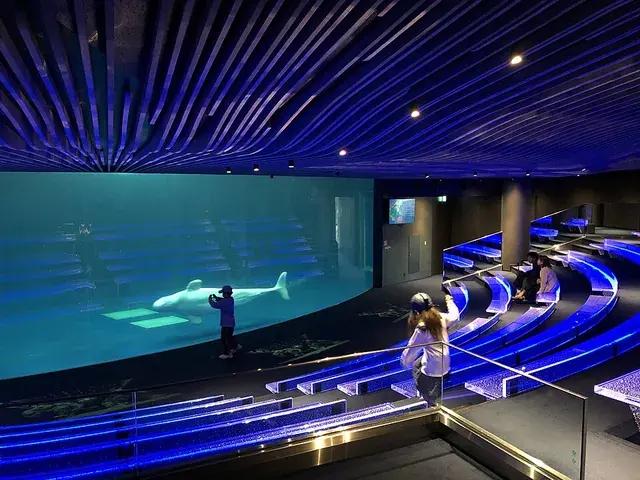 しまね海洋館アクアスのシロイルカの水槽