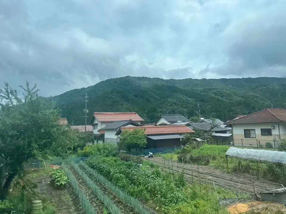 日野町の田園と森の風景
