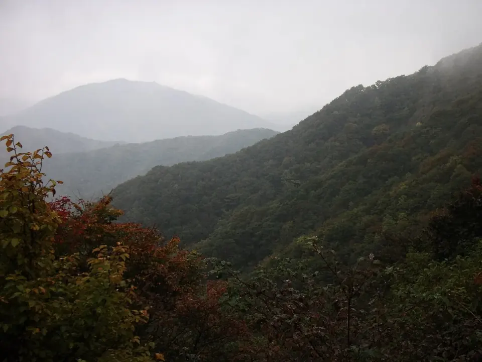 大万木山の林道から眺める山並み