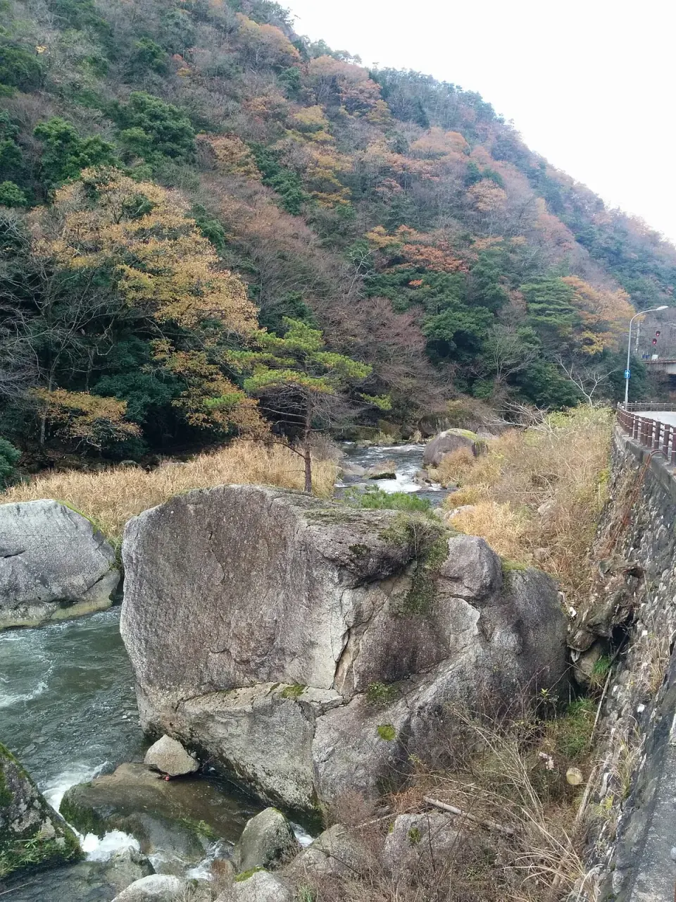 日南町の石霞渓の岩壁と川