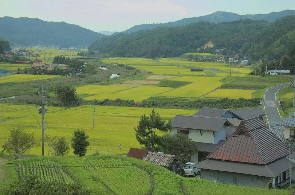 奥出雲町の金言寺周辺の田園風景