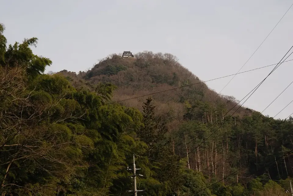 山麓から望む羽衣石城跡の山と模擬天守
