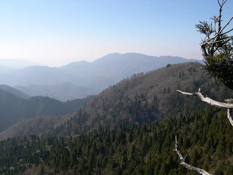 大将陣山から見た安蔵寺山
