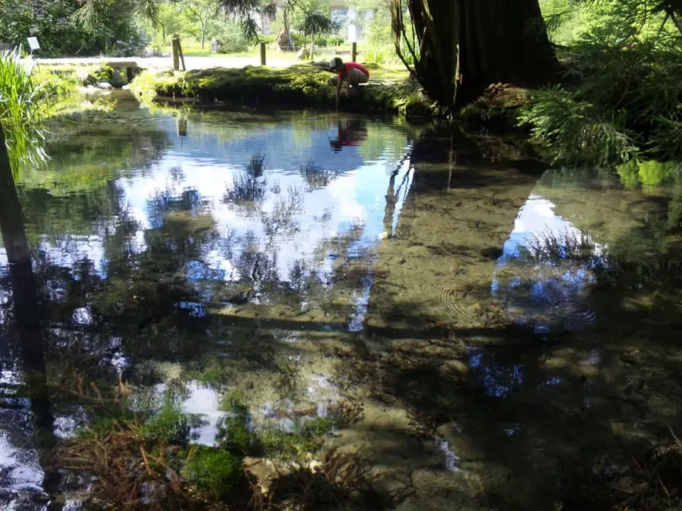 高津川の水源にある大蛇ヶ池