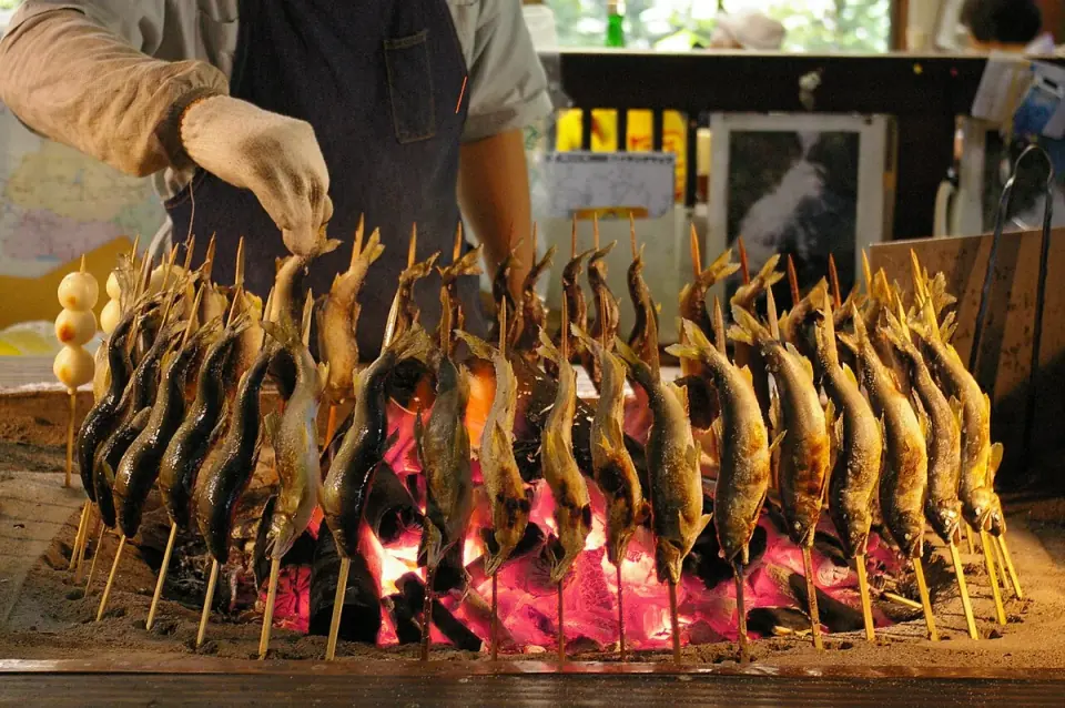 Skewered ayu sweetfish grilling over charcoal