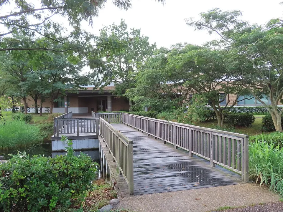 Boardwalk leading to Gobius, photographed in 2022