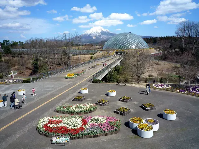 とっとり花回廊の花壇と温室、奥に大山